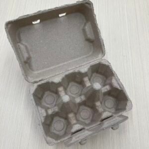 Egg Tray (6-Cell)